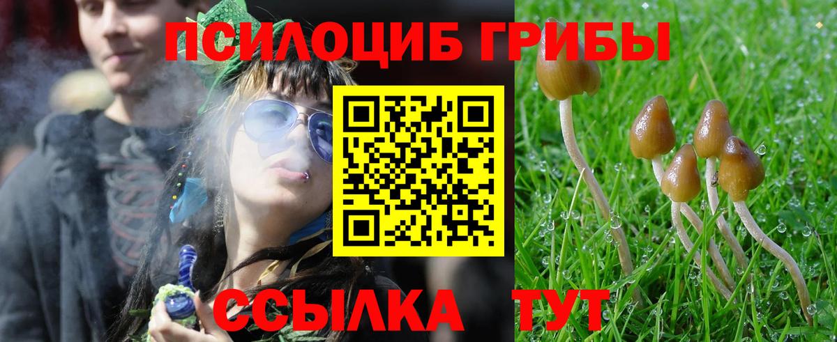 Псилоцибиновые грибы ЛСД Каменка