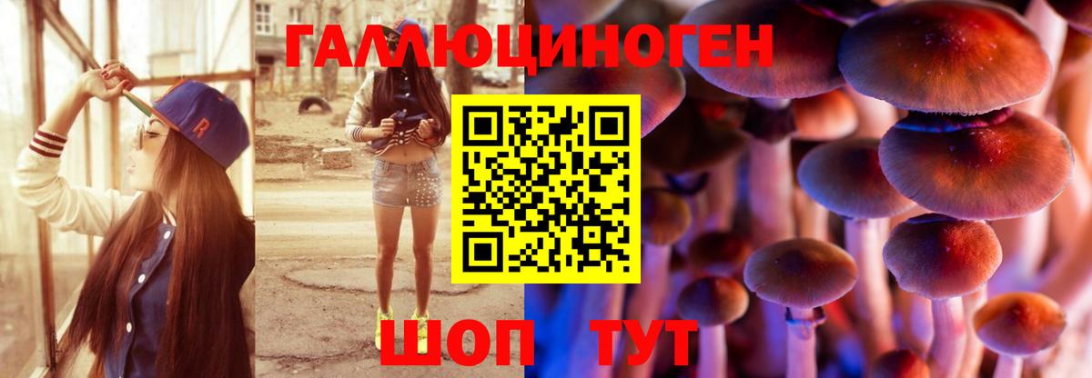 Галлюциногенные грибы MAGIC MUSHROOMS  Вход с VPN  Каменка 